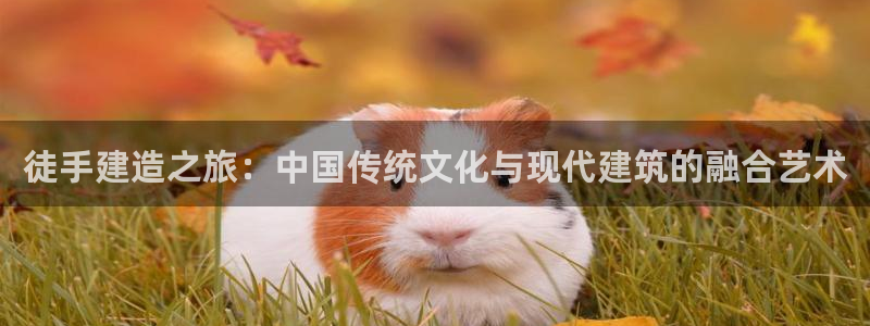 NG体育资讯官网入口：徒手建造之旅：中国传统文化与现代建筑的融合艺术