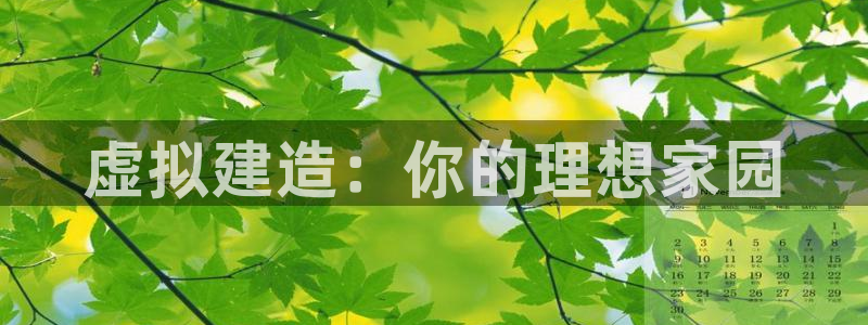 NG体育社：虚拟建造：你的理想家园