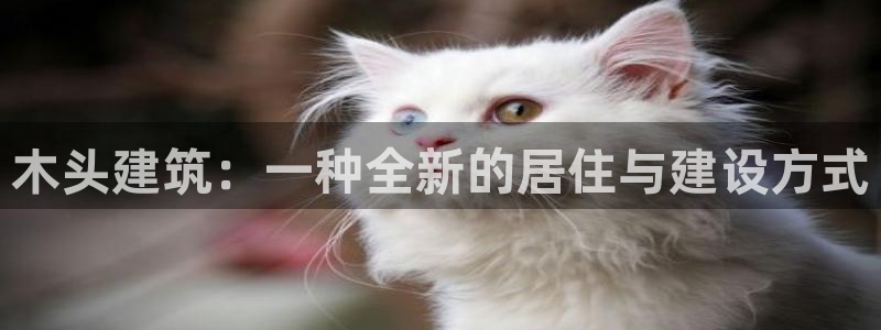 NG体育垫付金额：木头建筑：一种全新的居住与建设方式