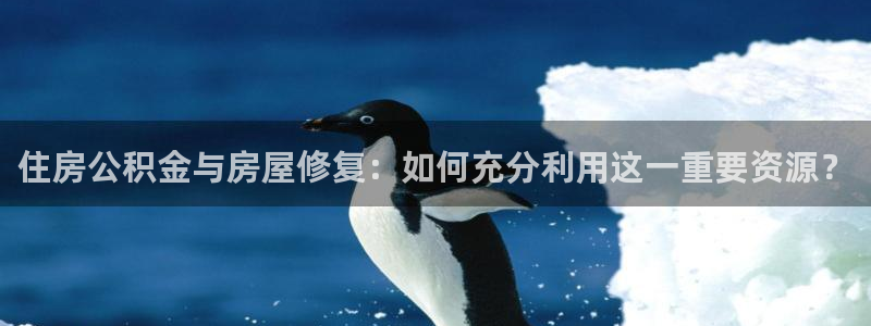 NG体育资讯官网入口：住房公积金与房屋修复：如何充分利用这一重要资源？