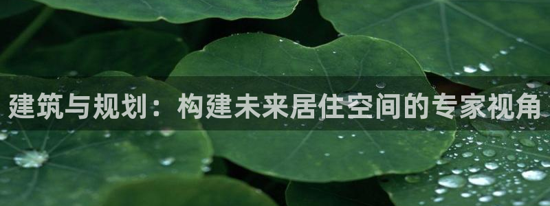 NG体育简介图片