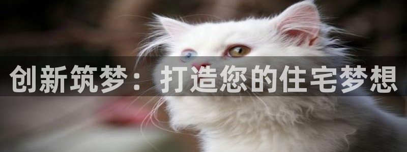 NG体育网：创新筑梦：打造您的住宅梦想