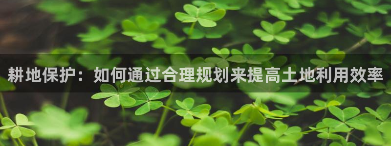 NG体育客服：耕地保护：如何通过合理规划来提高土地利用效率
