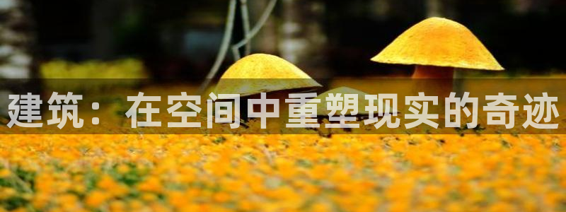 NG体育赛：建筑：在空间中重塑现实的奇迹