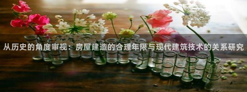 NG体育系统：从历史的角度审视：房屋建造的合理年限与现代建筑技术的关系研究