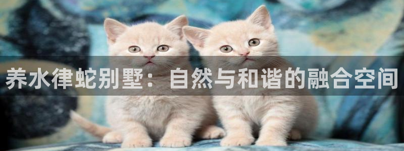 NG体育中国：养水律蛇别墅：自然与和谐的融合空间