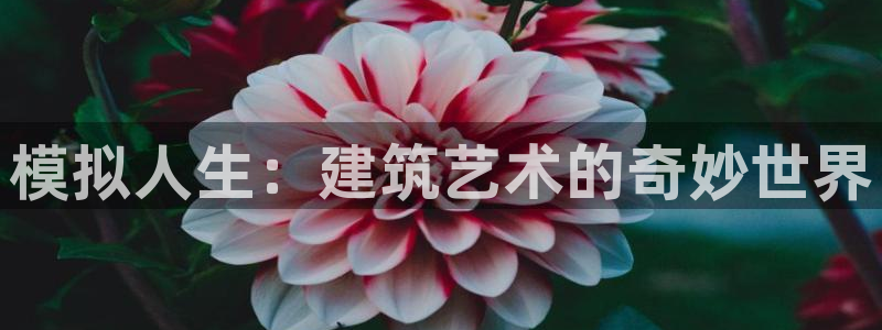 NG体育游戏软件：模拟人生：建筑艺术的奇妙世界
