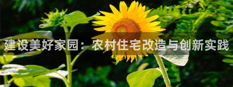 NG体育理财logo：建设美好家园：农村住宅改造与创新实践