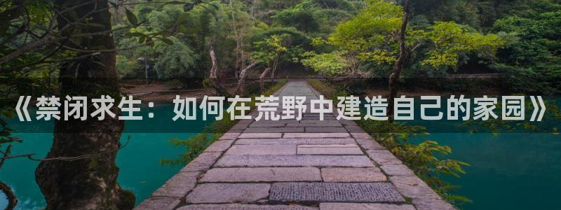 NG体育币：《禁闭求生：如何在荒野中建造自己的家园》