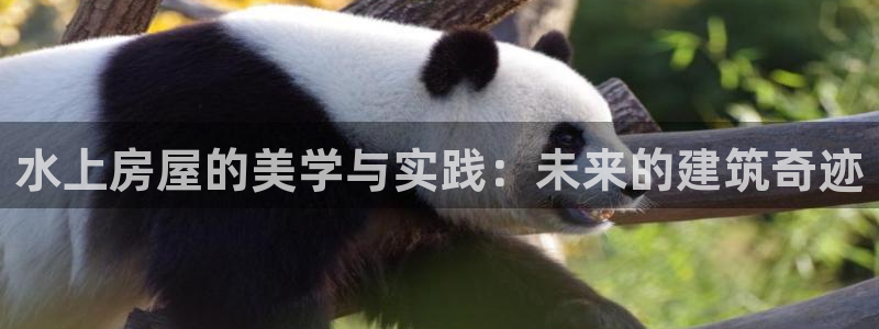 NG体育游戏大厅下载：水上房屋的美学与实践：未来的建筑奇迹