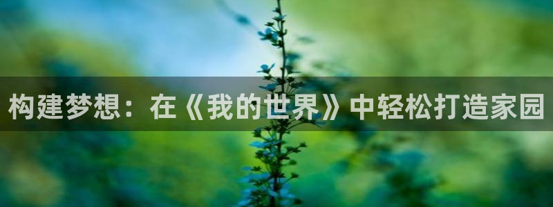 NG体育大厅有挂吗：构建梦想：在《我的世界》中轻松打造家园