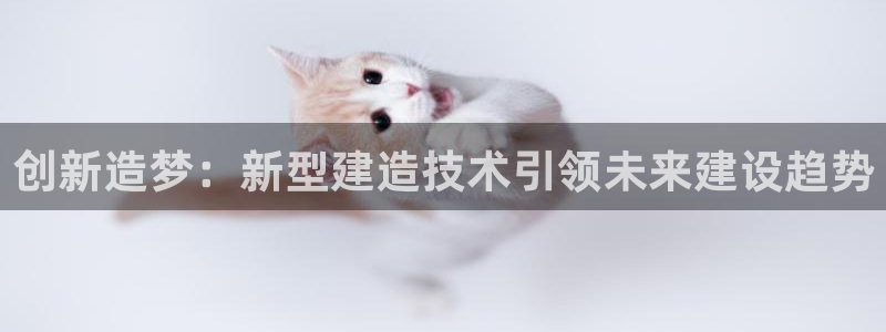 NG体育客服中心