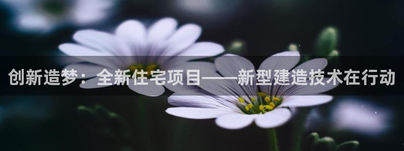NG体育系统：创新造梦：全新住宅项目——新型建造技术在行动