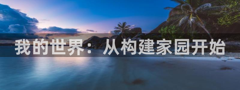 NG体育大厅透视