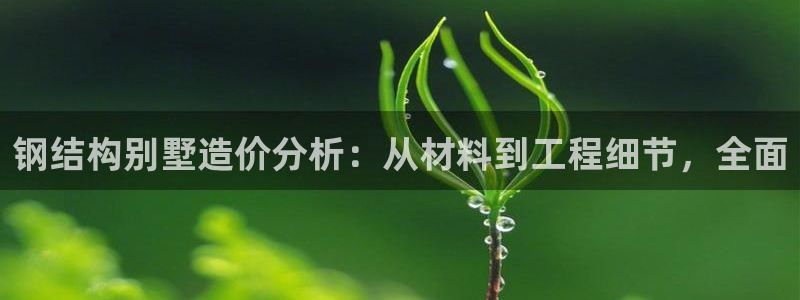 NG体育垫付金额：钢结构别墅造价分析：从材料到工程细节，全面