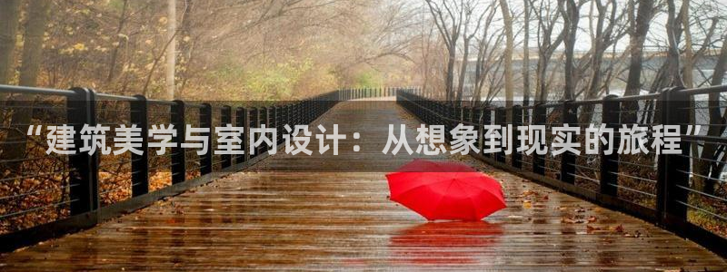 NG体育热点：“建筑美学与室内设计：从想象到现实的旅程”
