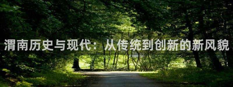 怎么下载NG体育大厅：渭南历史与现代：从传统到创新的新风貌