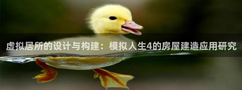 吉林NG体育
