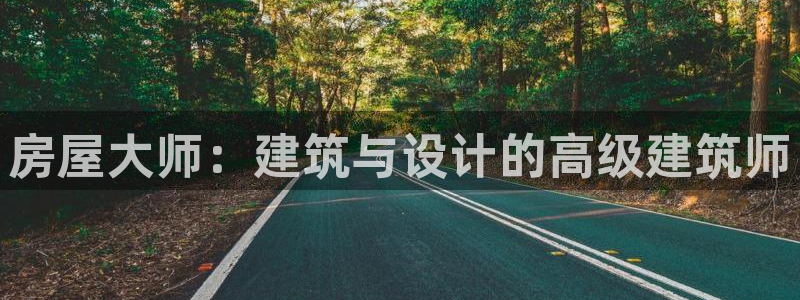 NG体育传媒：房屋大师：建筑与设计的高级建筑师