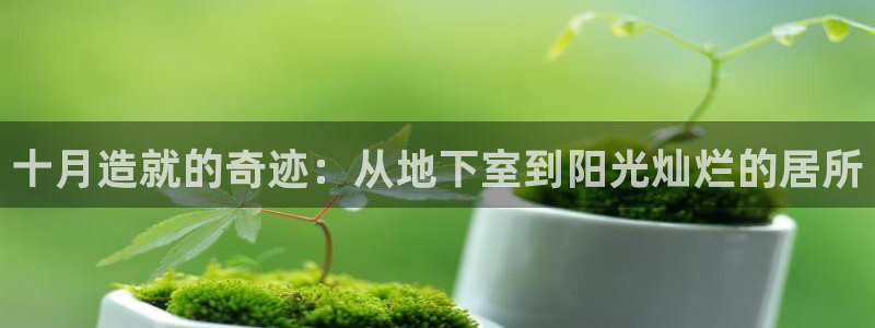 NG体育登录：十月造就的奇迹：从地下室到阳光灿烂的居所
