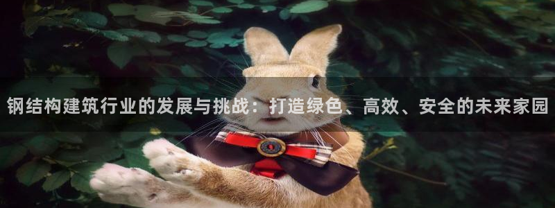 NG体育管理集团：钢结构建筑行业的发展与挑战：打造绿色、高效、安全的未来家园